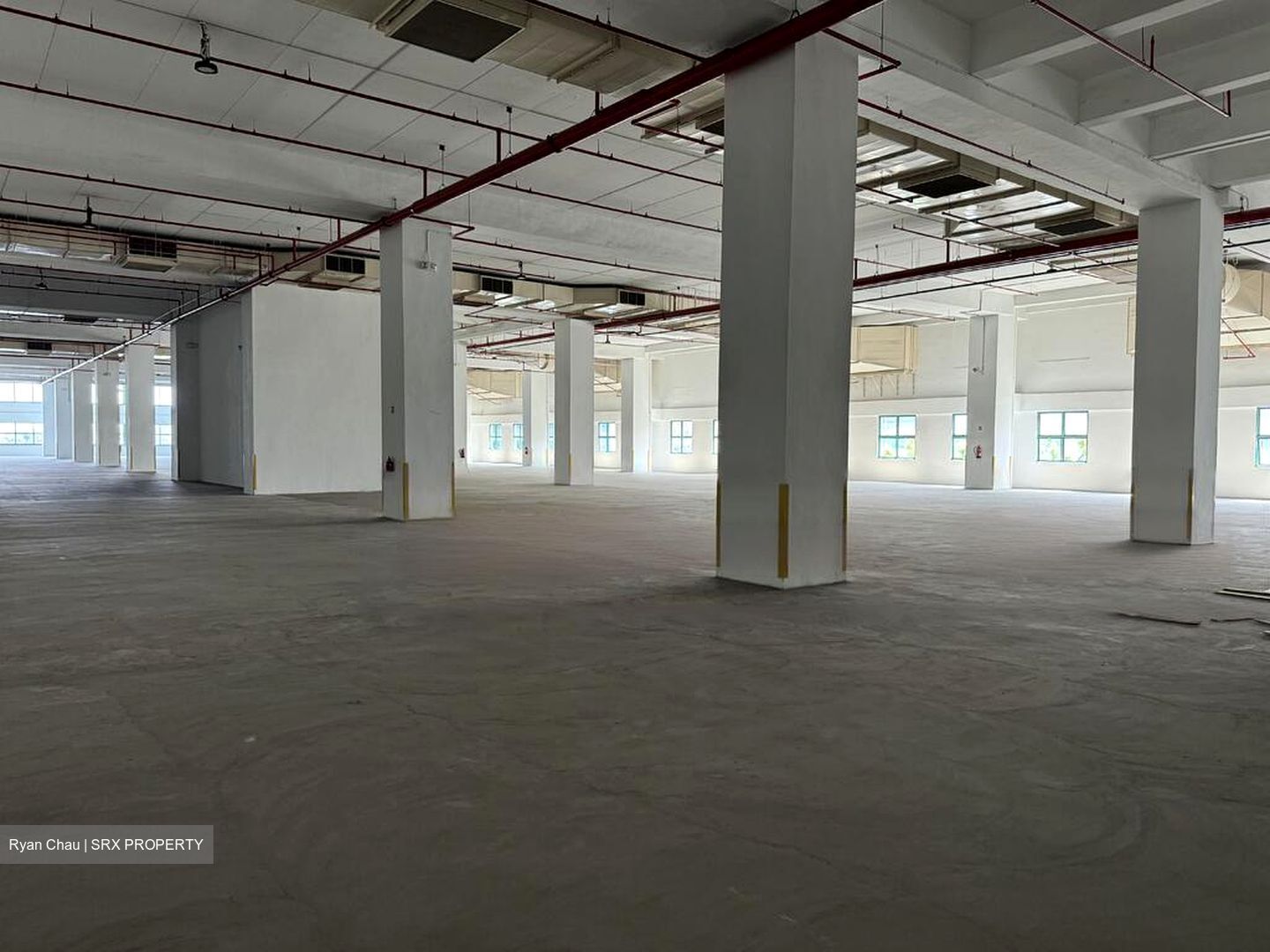 Ibm Place (D16), Warehouse #481865101
